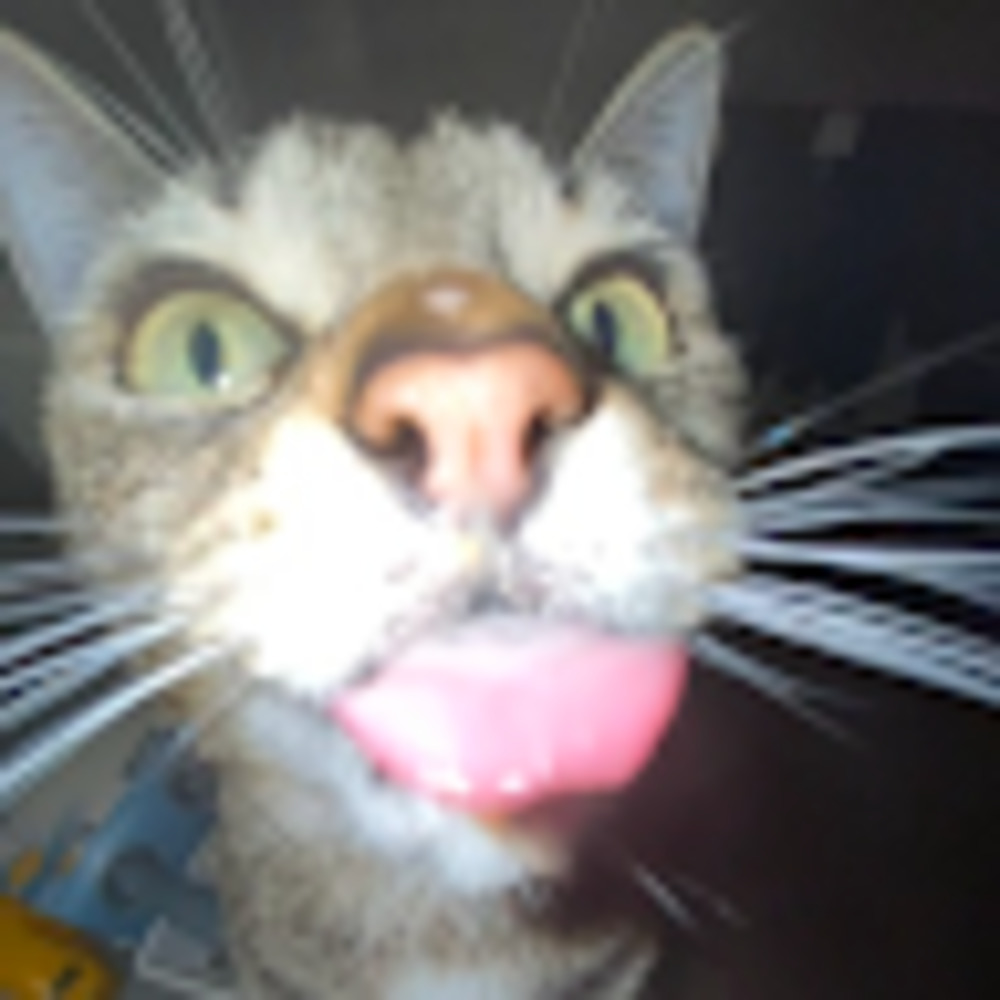 Meet your Posher, ``jade